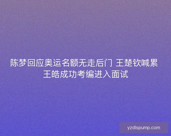 陈梦回应奥运名额无走后门 王楚钦喊累 王皓成功考编进入面试