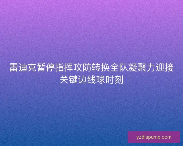 雷迪克暂停指挥攻防转换全队凝聚力迎接关键边线球时刻