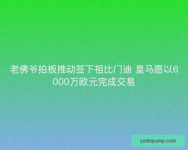老佛爷拍板推动签下祖比门迪 皇马愿以6000万欧元完成交易