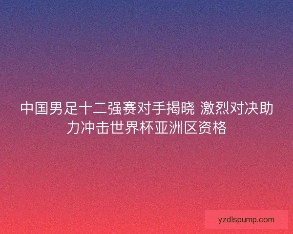 中国男足十二强赛对手揭晓 激烈对决助力冲击世界杯亚洲区资格