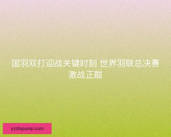 国羽双打迎战关键时刻 世界羽联总决赛激战正酣